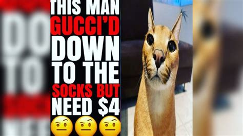 gucci bound to the socks|gucci down to the socks but need 4.